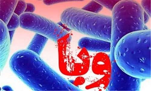تردد اتباع غیرمجاز و استفاده از آب و غذای آلوده علت اصلی انتقال وبا در کشور