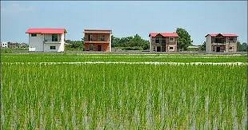 خبر آزاد شدن ساخت واحد مسکونی در اراضی کشاورزی تکذیب شد