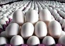 قیمت جدید مرغ و تخم‌مرغ تا پایان فروردین ۱۴۰۳ تثبیت می‌شود