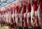کمبودی در بازار گوشت گرم قرمز وجود ندارد/روند تامین و توزیع رو به افزایش است