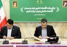 اختصاص پنج همت تسهیلات از سوی بانک ملی ایران برای رشد تولید دانش‌بنیان