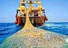 تکذیب صید ترال توسط کشتی‌های صید صنعتی خارجی