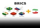 «بریکس» پلی برای گسترش همکاری‌های اقتصادی